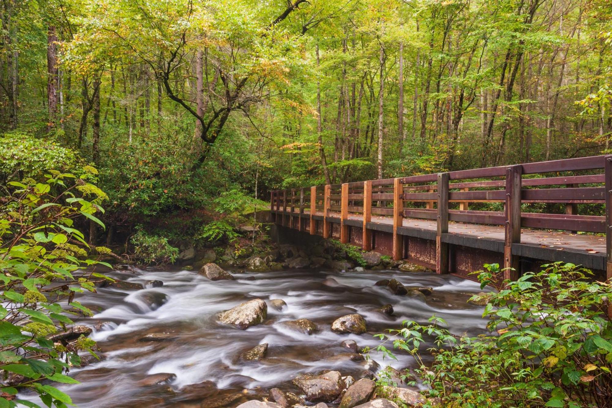 Highland Dream, Hot Tub, 1089 Free Tickets Each Paid Day, Dollywood And More Sevierville Eksteriør billede